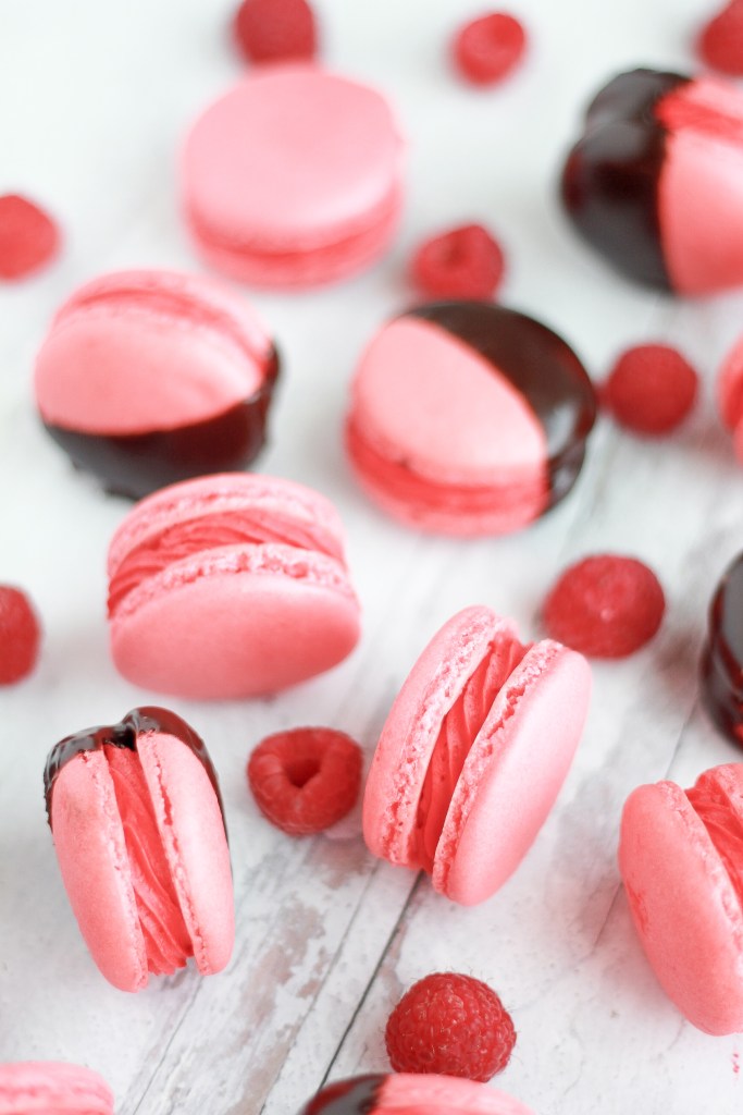 Detail French Macarons Images Nomer 43
