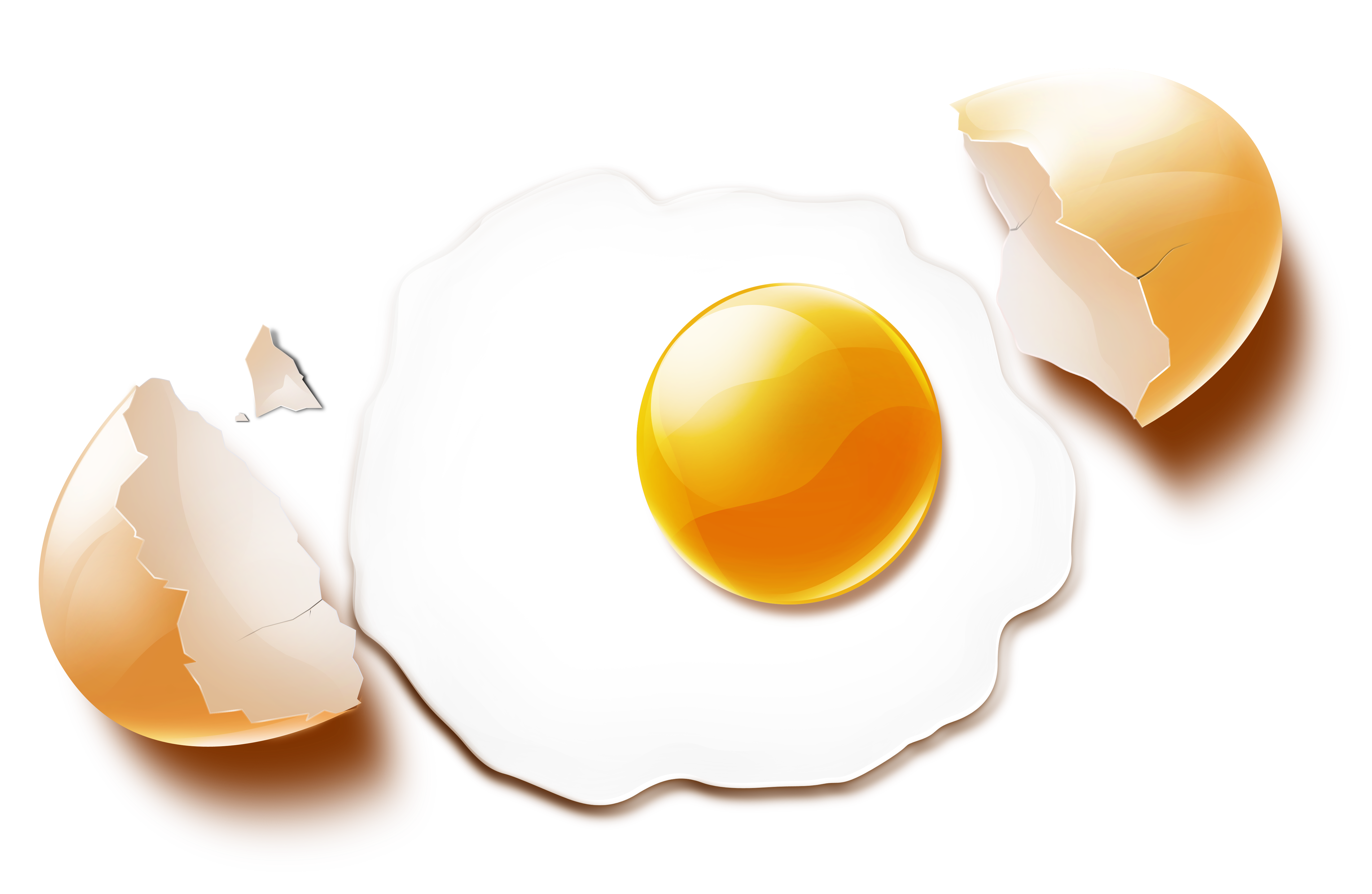 Detail Fried Egg Transparent Nomer 40