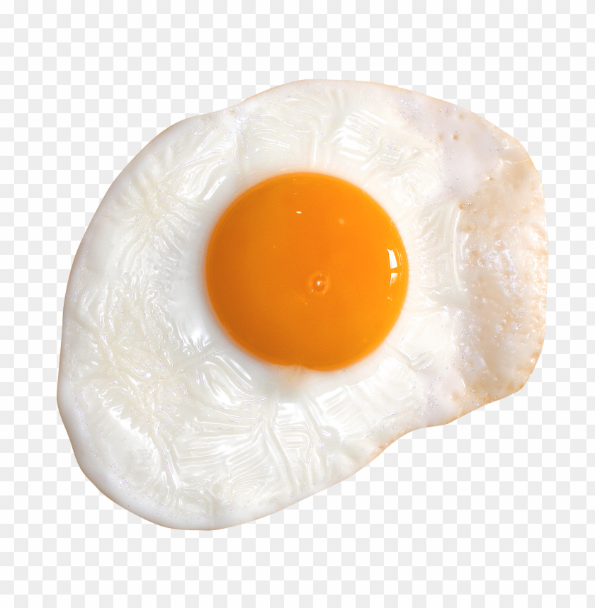 Detail Fried Egg Transparent Background Nomer 7