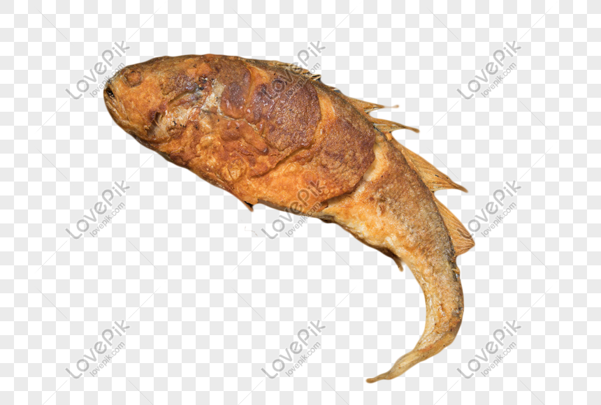 Detail Fried Fish Png Nomer 34