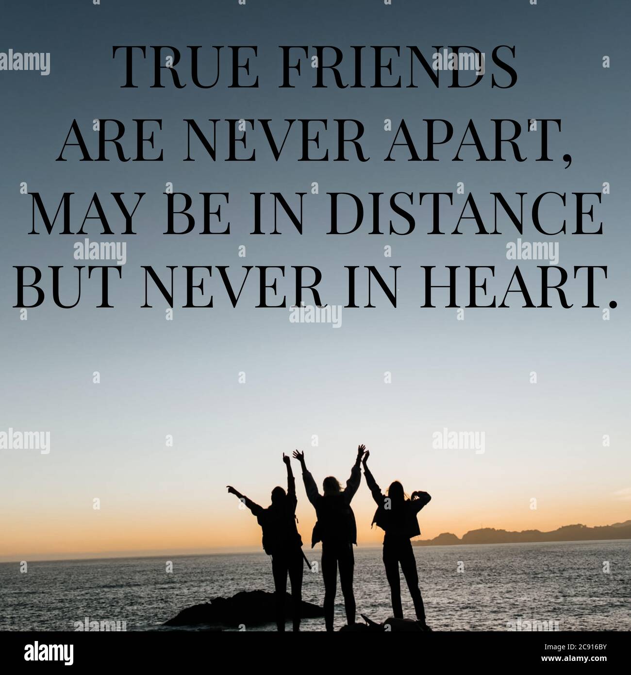 Detail Friendship Day Quotes Nomer 28