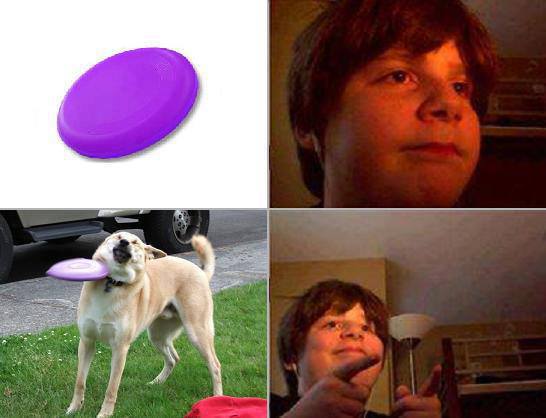 Detail Frisbee Dog Meme Nomer 21