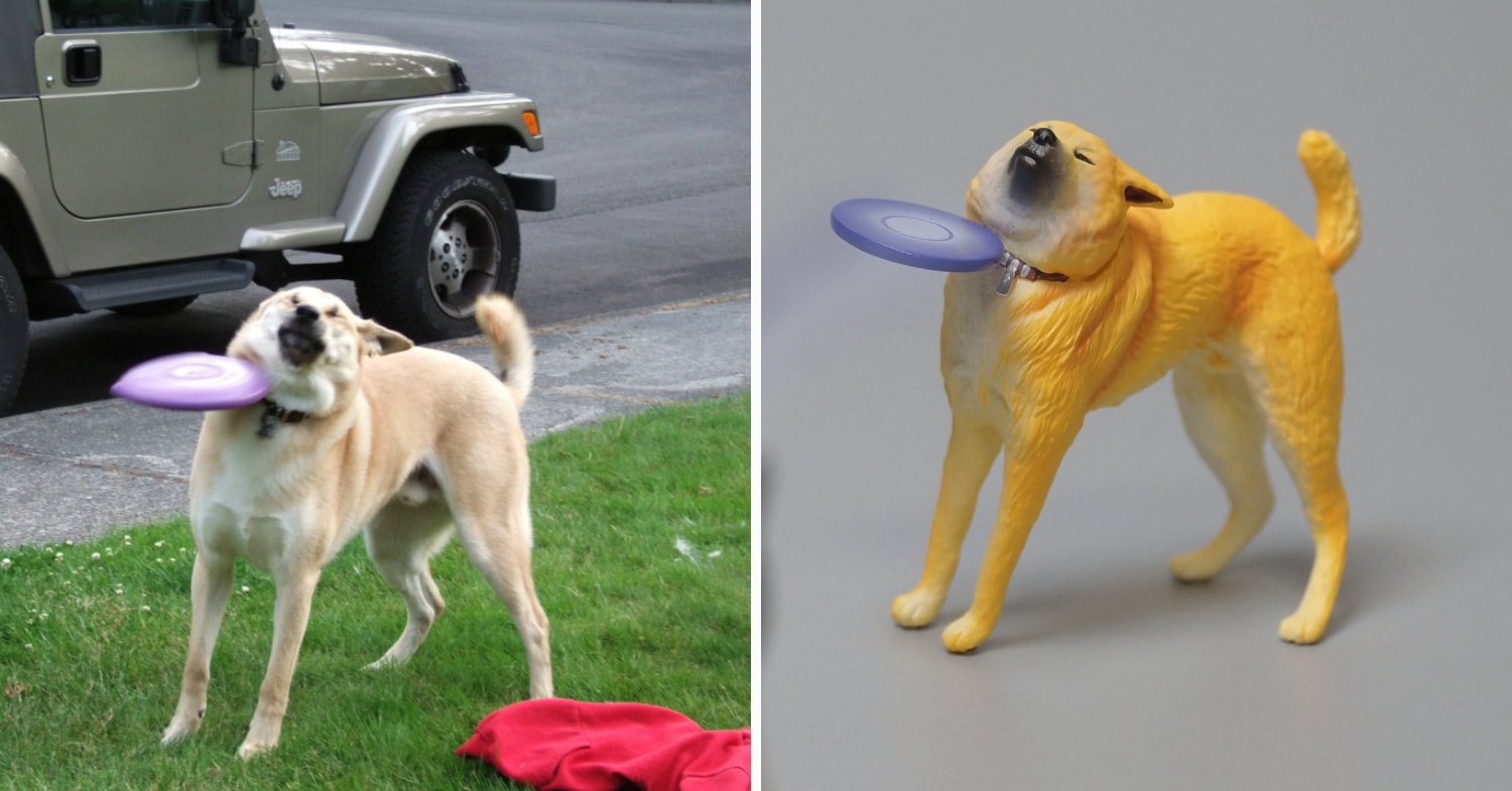 Detail Frisbee Dog Meme Nomer 49