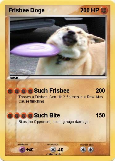 Detail Frisbee Dog Meme Nomer 9