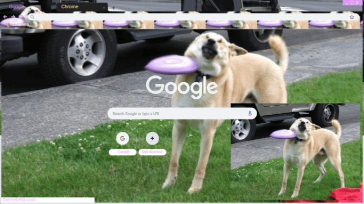 Detail Frisbee Doge Nomer 15