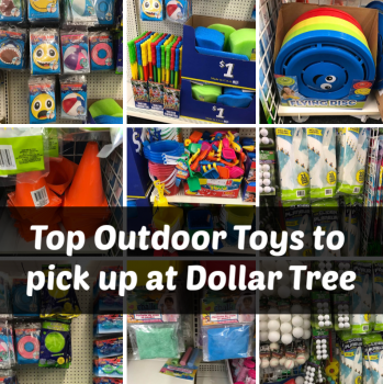 Detail Frisbee Dollar Tree Nomer 18