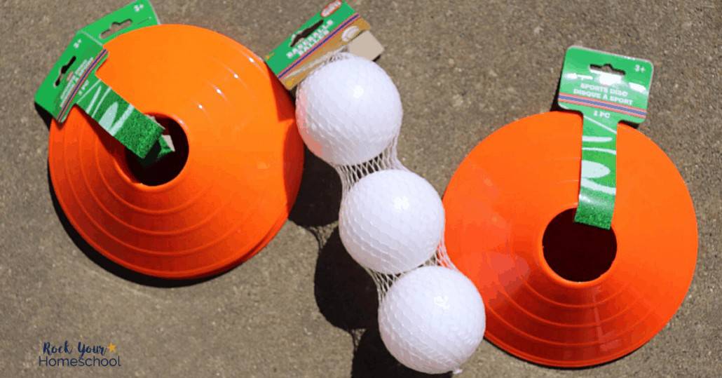 Detail Frisbee Dollar Tree Nomer 24