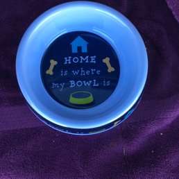 Detail Frisbee Dollar Tree Nomer 27