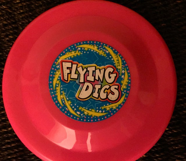 Detail Frisbee Dollar Tree Nomer 47