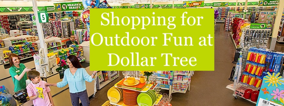 Detail Frisbee Dollar Tree Nomer 50