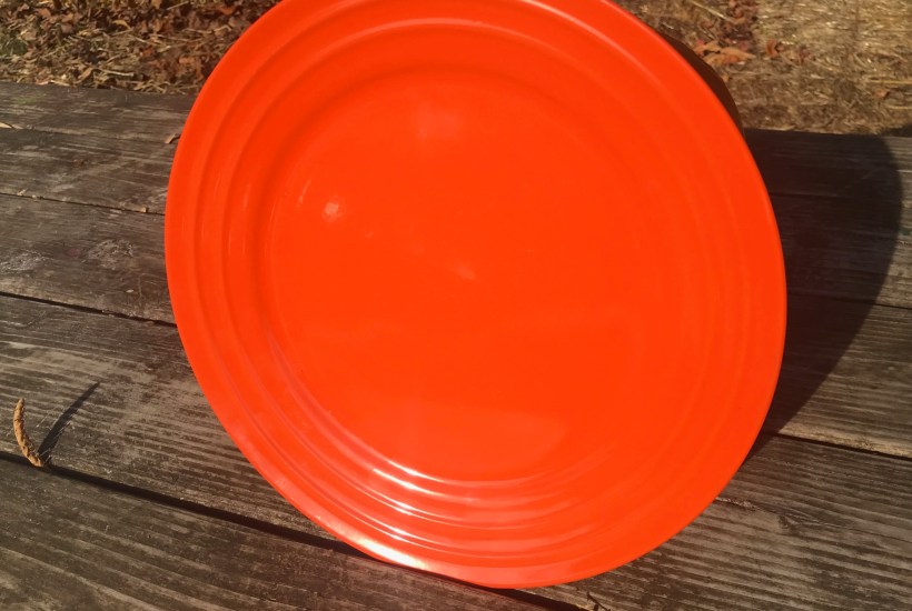 Detail Frisbee Dollar Tree Nomer 54