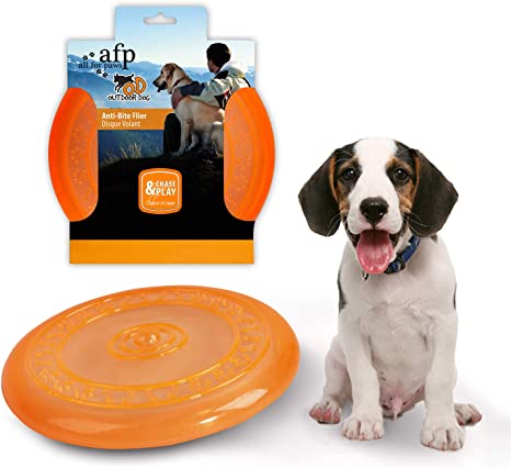 Detail Frisbee For Dogs Amazon Nomer 11