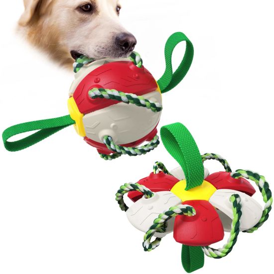 Detail Frisbee For Dogs Amazon Nomer 19