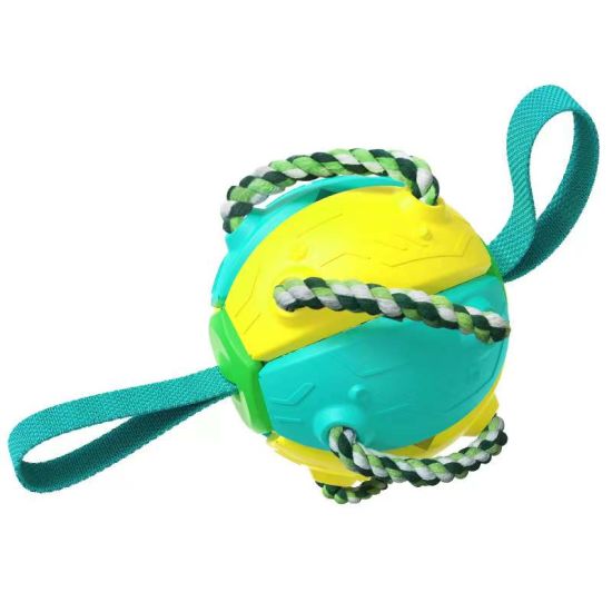 Detail Frisbee For Dogs Amazon Nomer 41