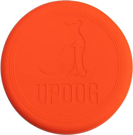 Detail Frisbee For Dogs Amazon Nomer 9