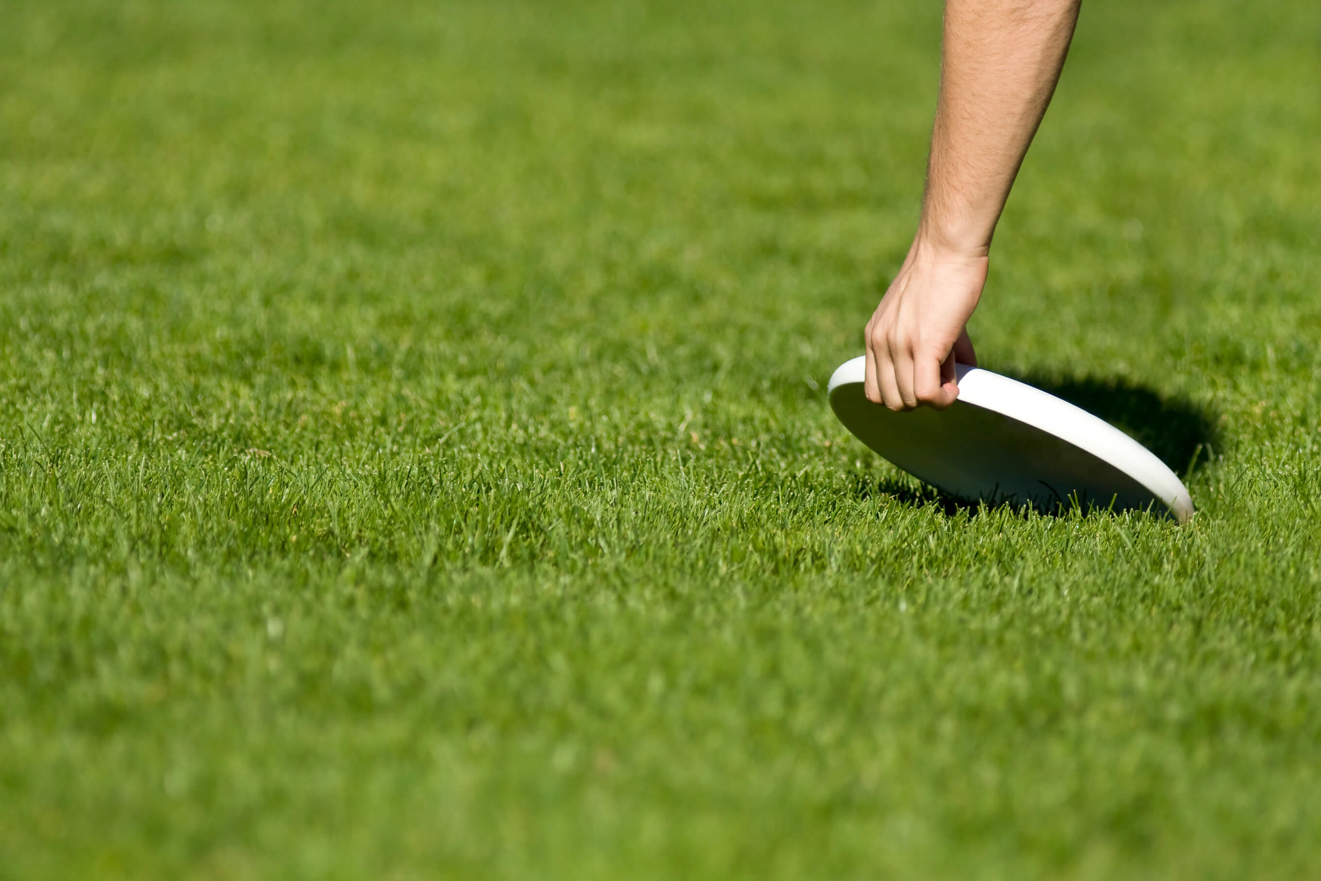Detail Frisbee Game With Beer Bottles Nomer 38