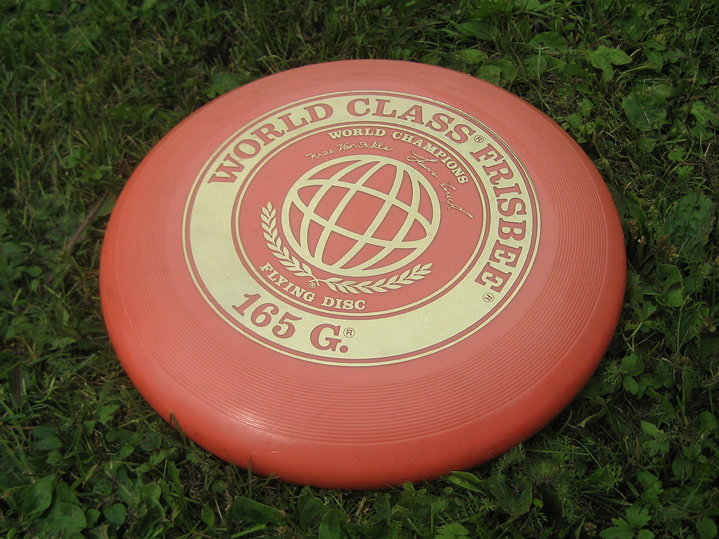 Detail Frisbee Images Nomer 2