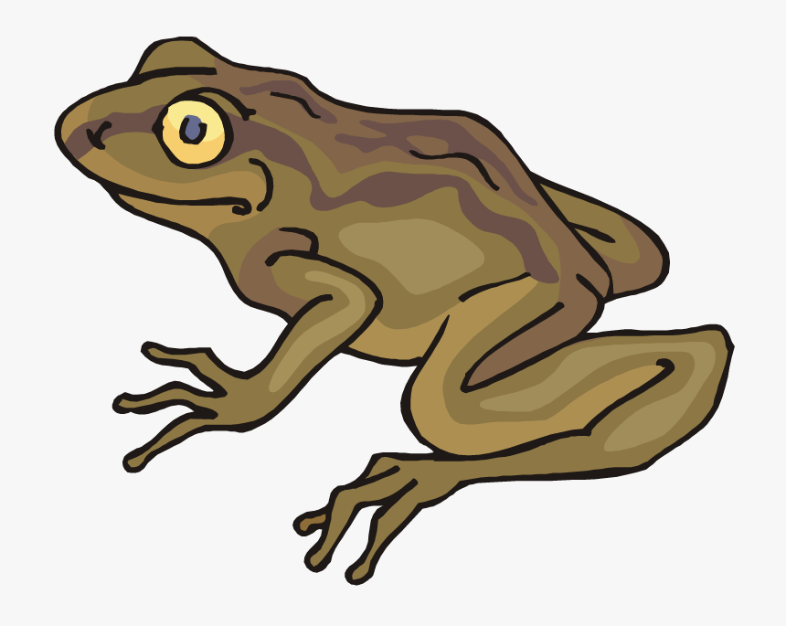 Detail Frog And Toad Png Nomer 28