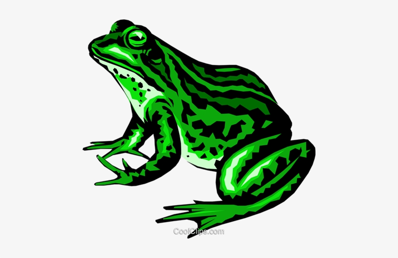 Detail Frog Clipart Png Nomer 41