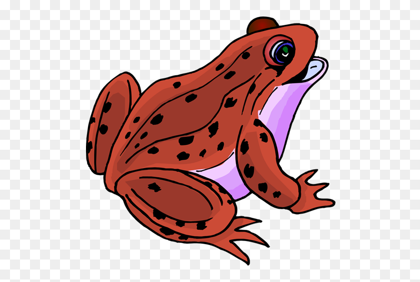 Detail Frog Clipart Png Nomer 42