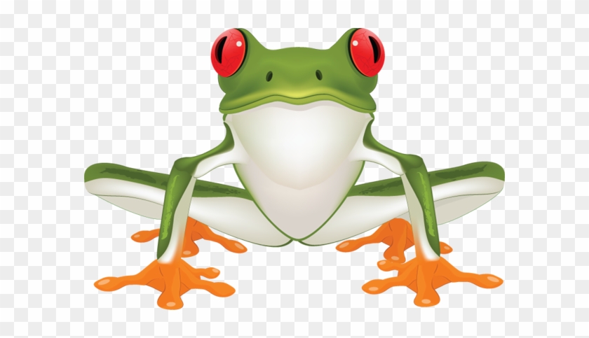 Detail Frog Clipart Png Nomer 48