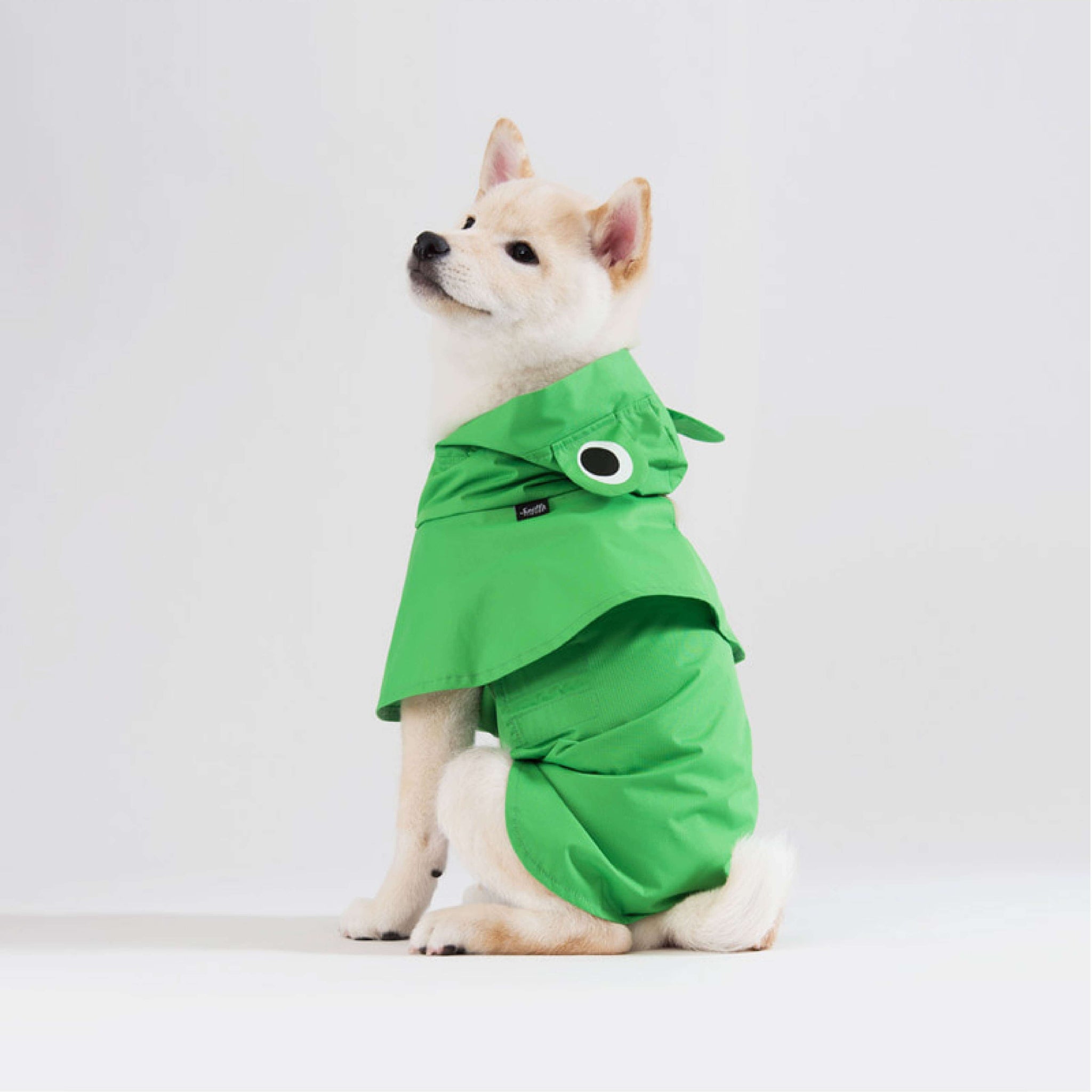 Detail Frog Dog Raincoat Nomer 13