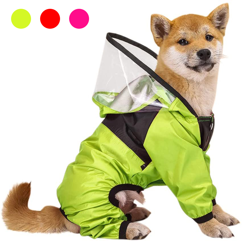 Detail Frog Dog Raincoat Nomer 25