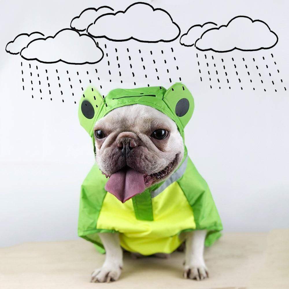 Detail Frog Dog Raincoat Nomer 5