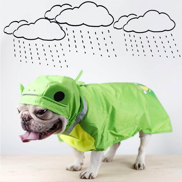 Detail Frog Dog Raincoat Nomer 6