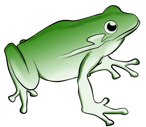 Detail Frog Download Nomer 16