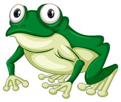 Detail Frog Download Nomer 33