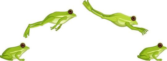 Detail Frog Download Nomer 35