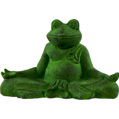 Detail Frog Lotus Yoga Nomer 57