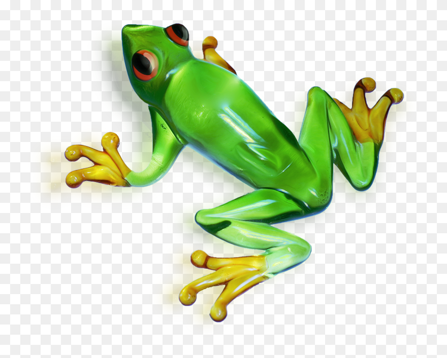 Detail Frog No Background Nomer 19