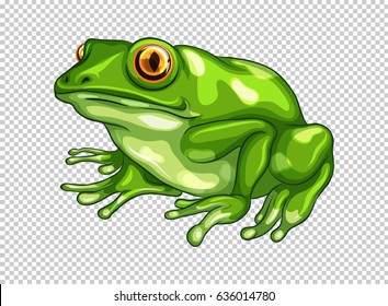 Detail Frog No Background Nomer 3