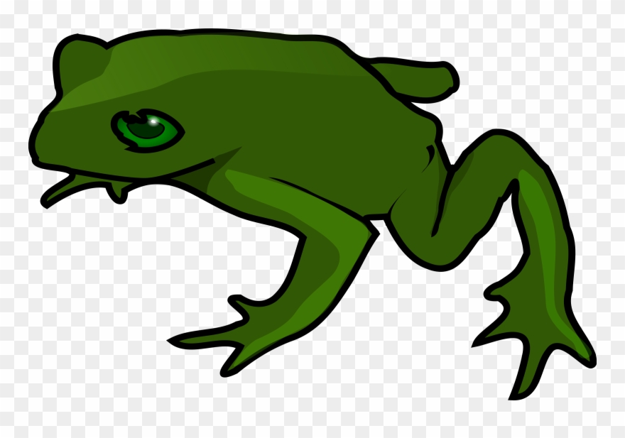 Detail Frog No Background Nomer 36