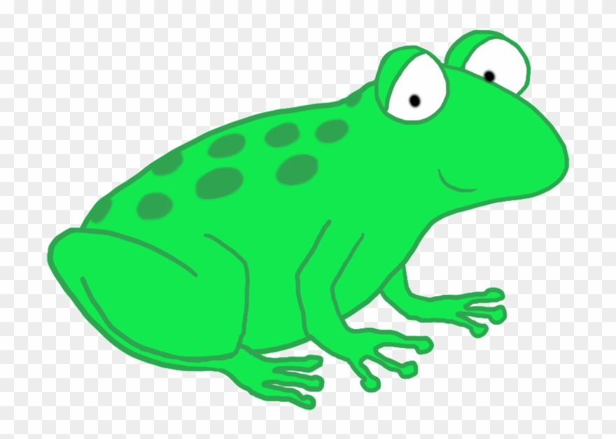Detail Frog No Background Nomer 40