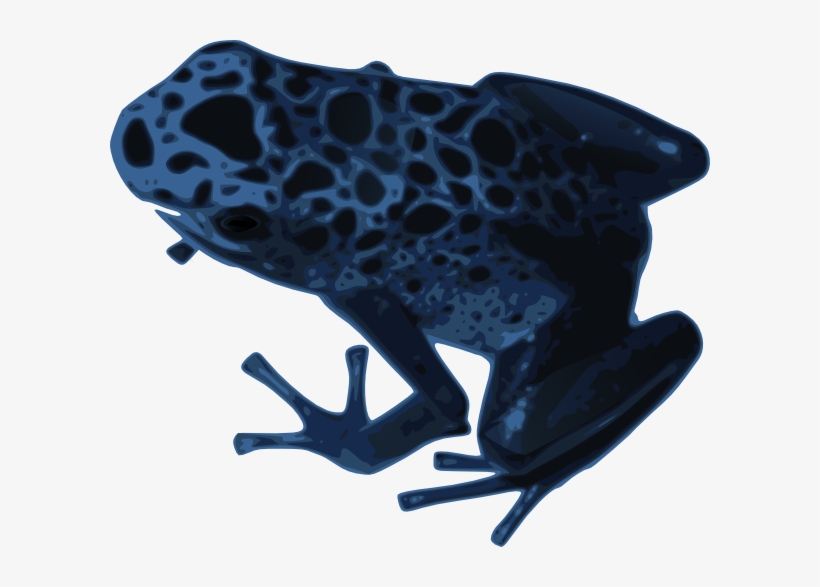 Detail Frog No Background Nomer 42