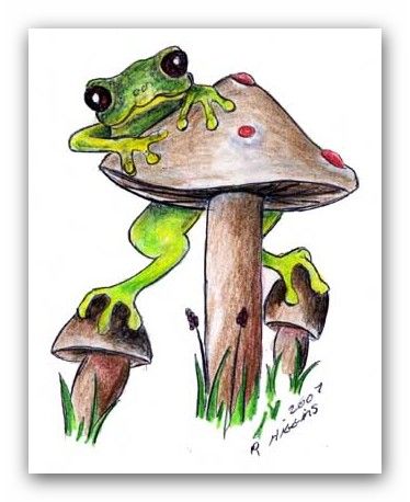 Detail Frog On Mushroom Drawing Cute Nomer 12