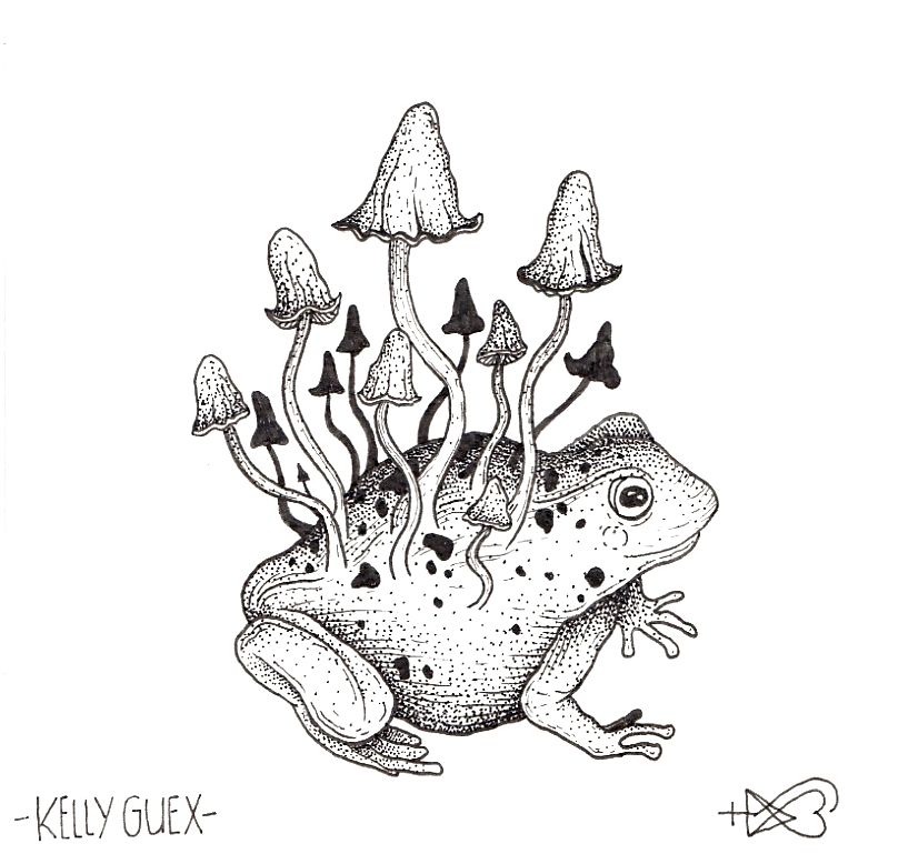 Detail Frog On Mushroom Drawing Cute Nomer 26