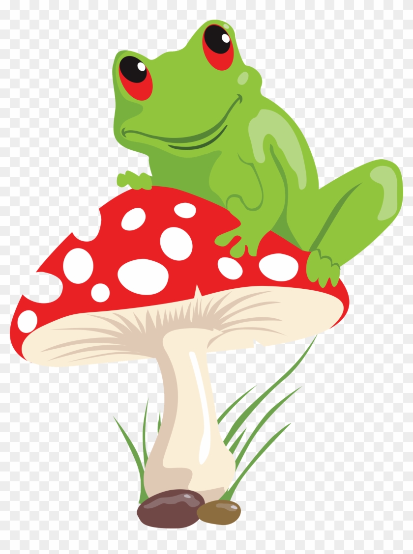 Detail Frog On Mushroom Drawing Cute Nomer 31