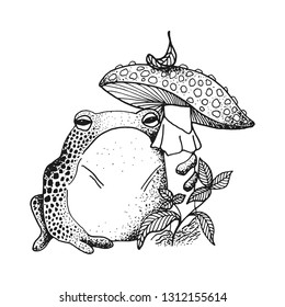 Detail Frog On Mushroom Drawing Cute Nomer 40
