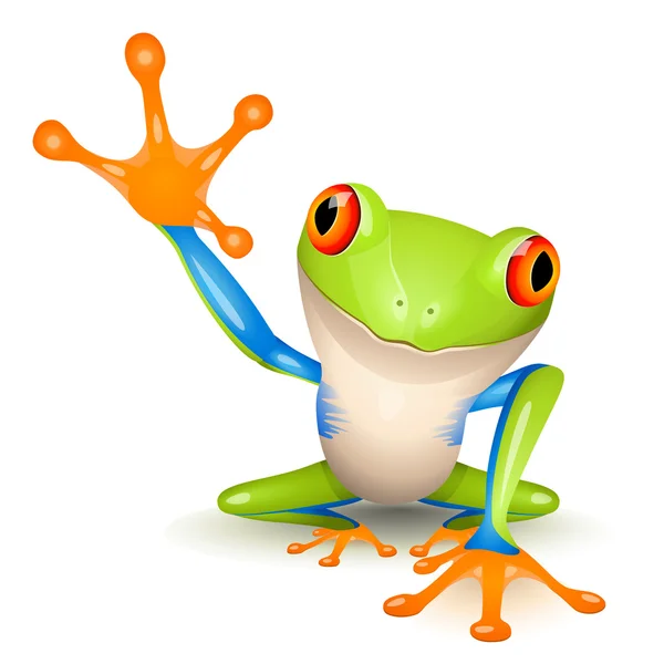 Detail Frog Photos Free Nomer 52