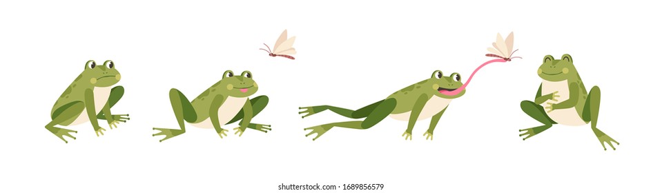 Detail Frog Pictures Free Nomer 41