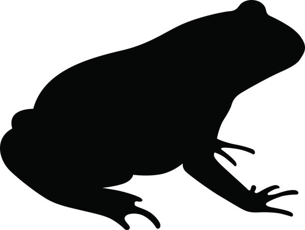 Frog Silhouette Clip Art - KibrisPDR