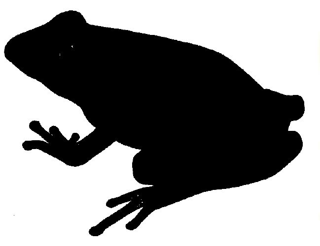 Detail Frog Silhouette Clip Art Nomer 14