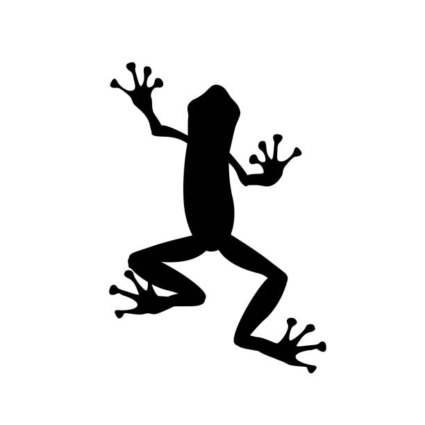 Detail Frog Silhouette Clip Art Nomer 32