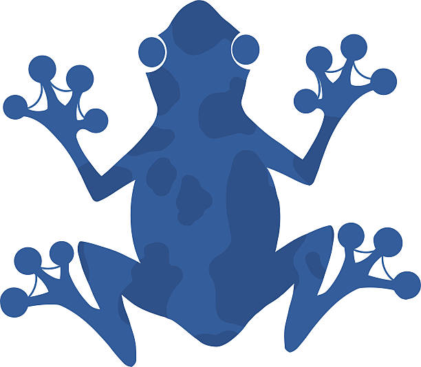 Detail Frog Silhouette Clip Art Nomer 37