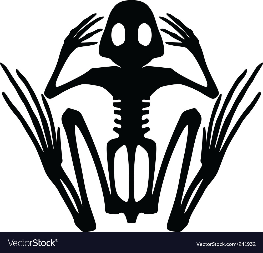 Detail Frog Skeleton Clipart Nomer 8