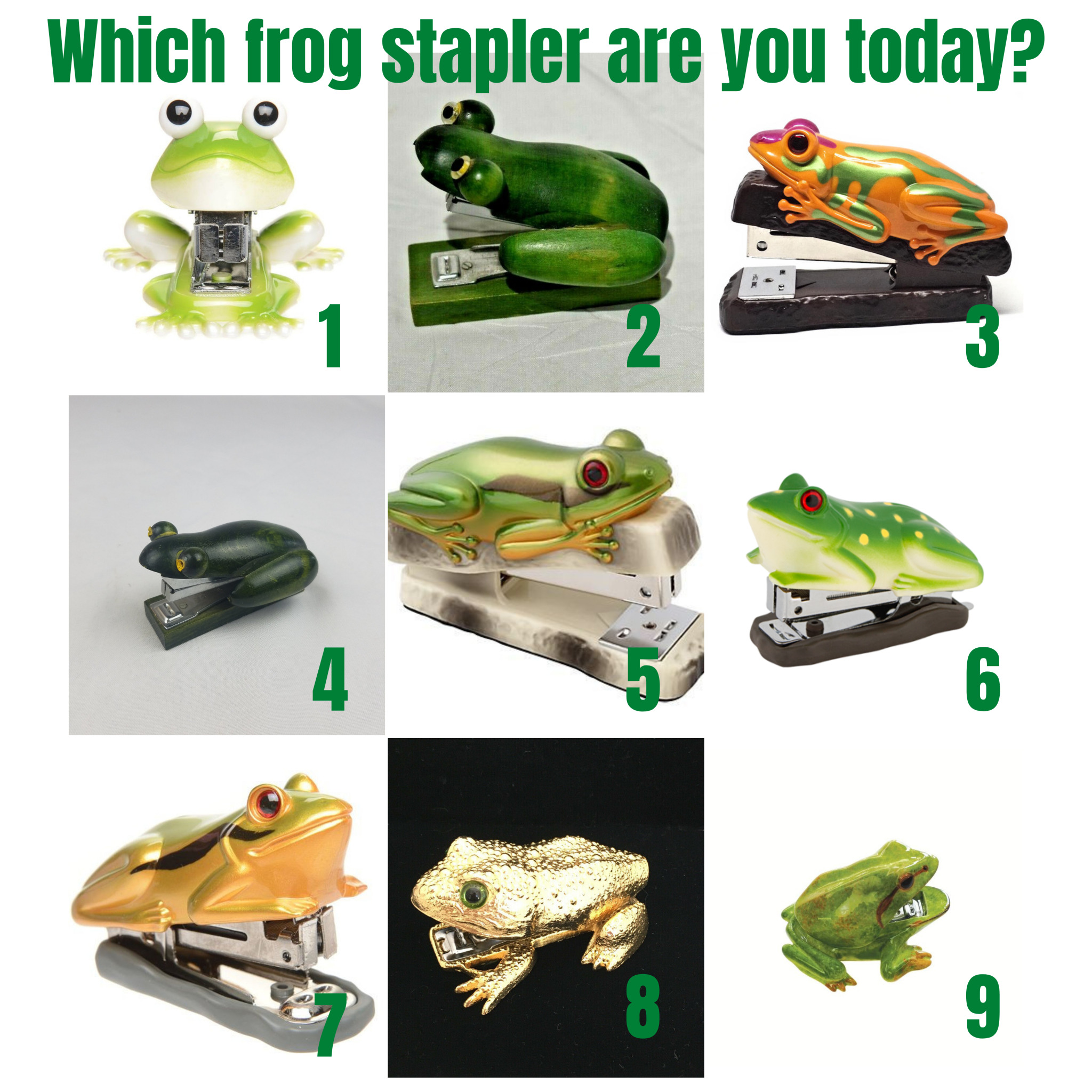 Detail Frog Stapler Nomer 52